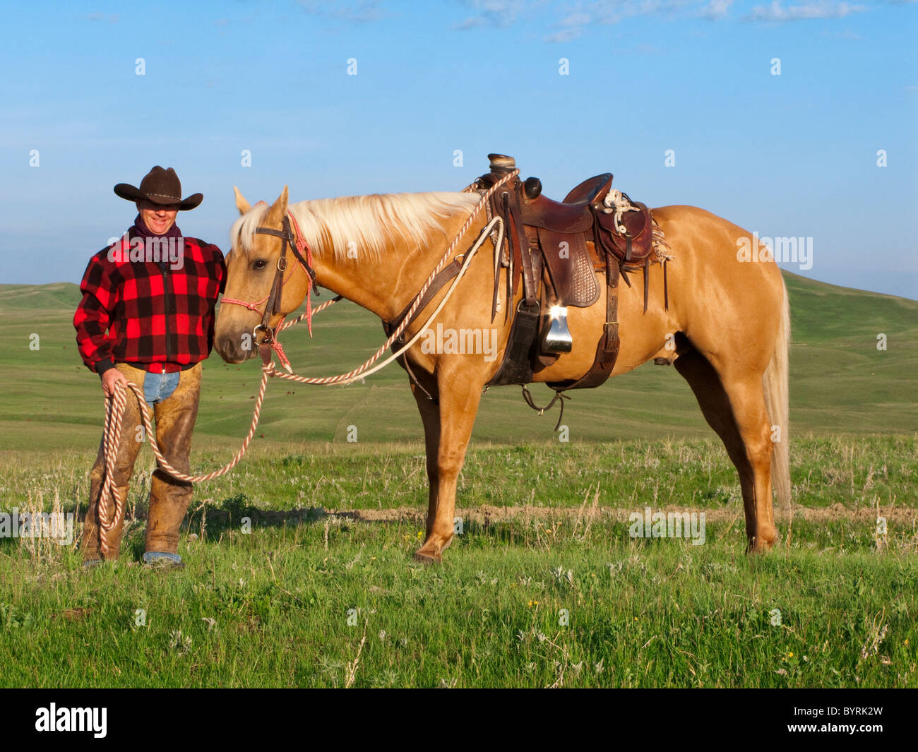 Livestock - A cowboy poses with his horse on a green prairie / Alberta, Canada. Stock Photo