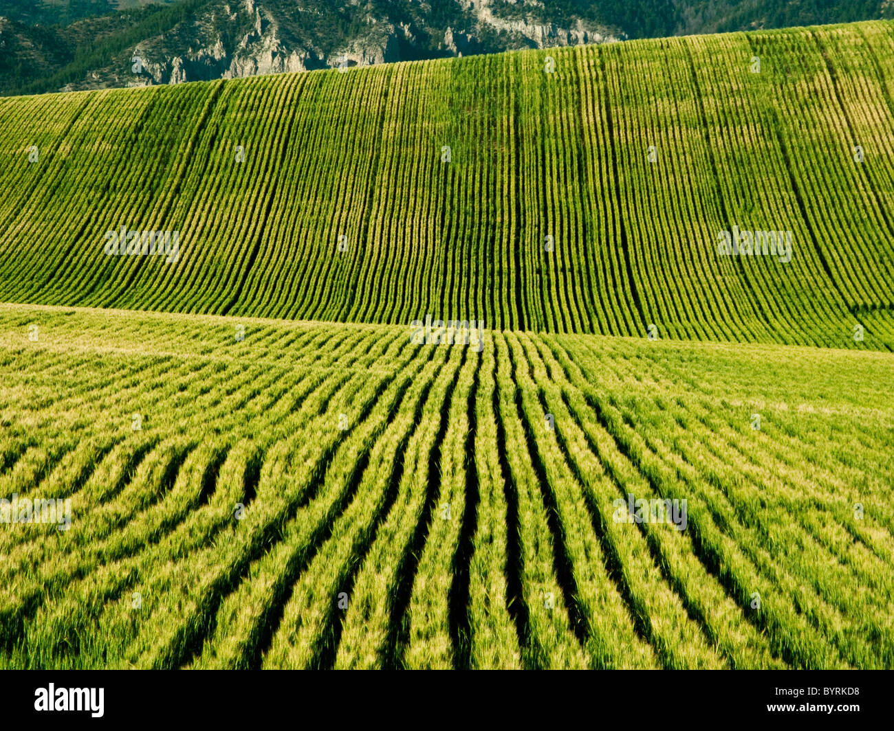 Idaho Farming High Resolution Stock Photography and Images Alamy