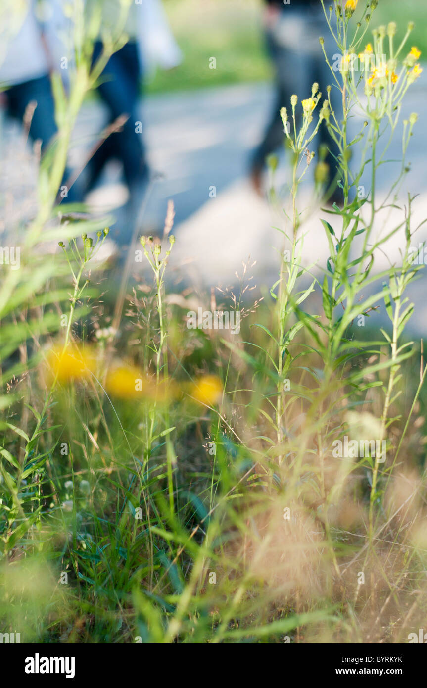 a group of people walking Stock Photo - Alamy