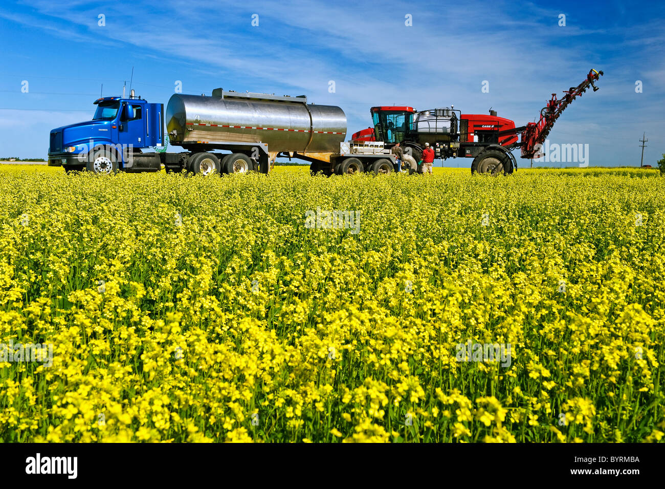 A farmer loads his high clearance sprayer with fungicide and water to spray a blooming canola crop for Sclerotinia / Canada. Stock Photo