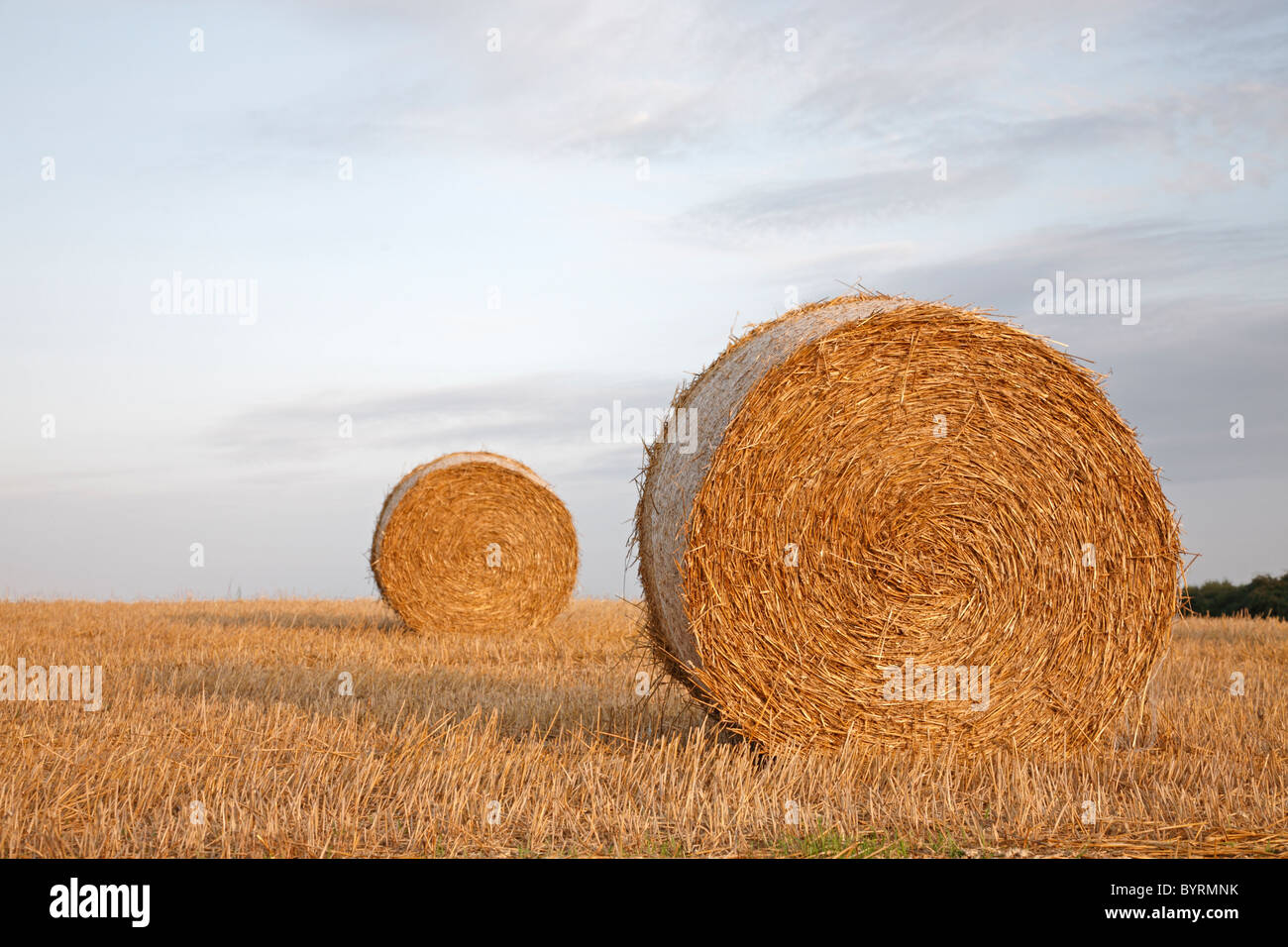 Two big bales of straw on a wheat stubble field in sunset against a blue sky with purplish clouds, Denmark Stock Photo