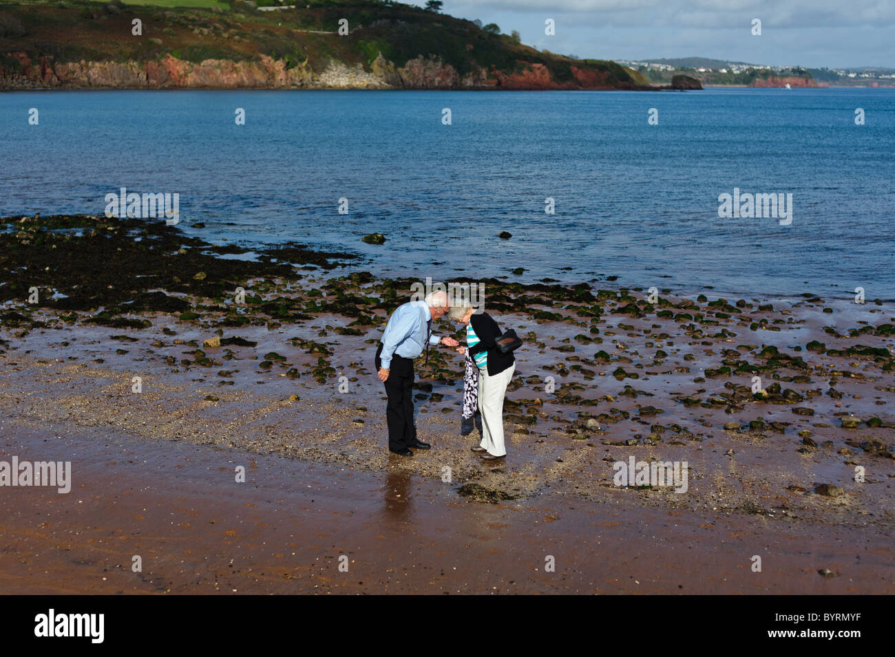 An elderly couple collecting pebbles on Broadsands beach near Torquay