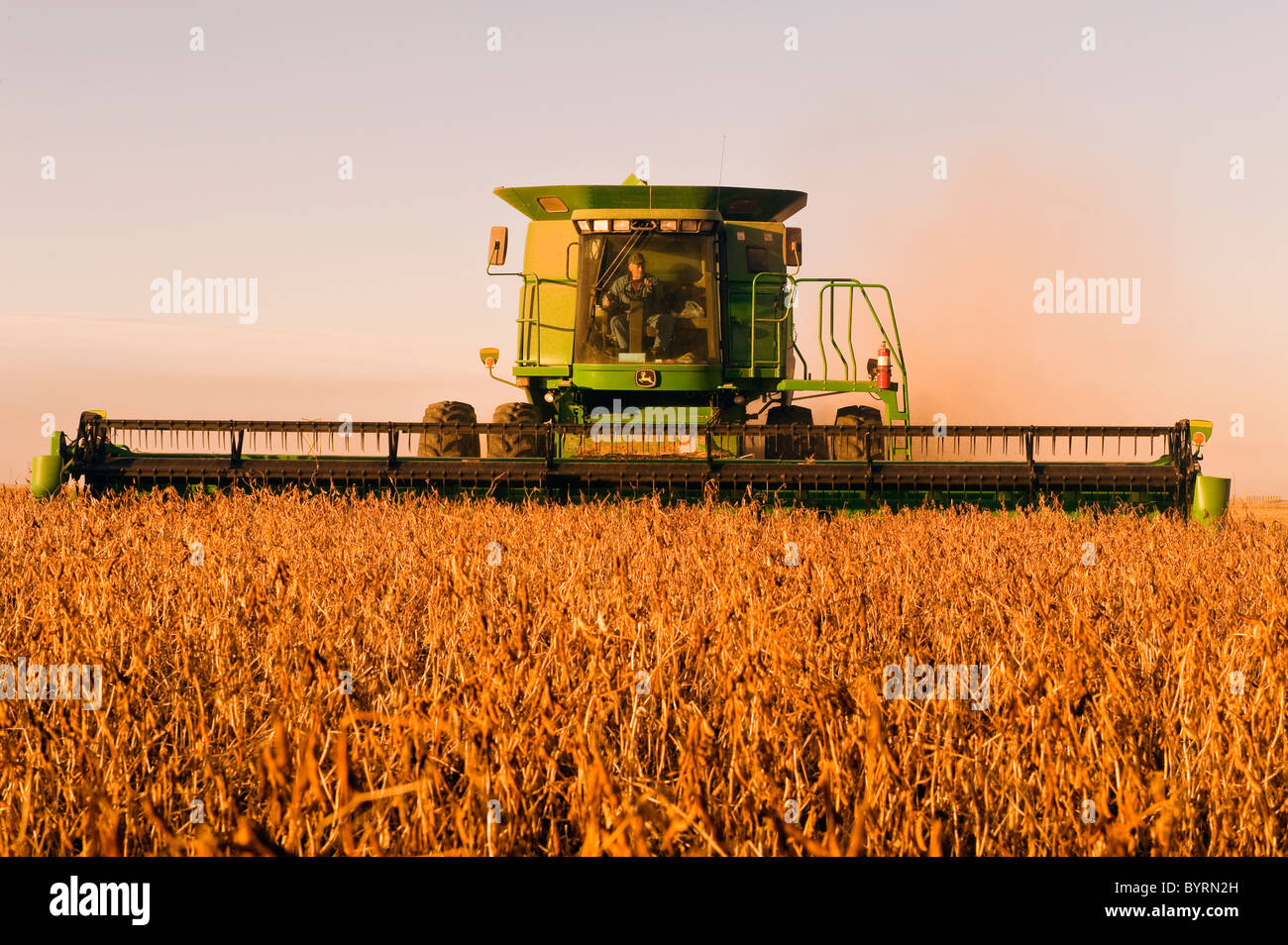 Agriculture - A John Deere combine harvests mature soybeans in late afternoon light / near Oakbank, Manitoba, Canada. Stock Photo