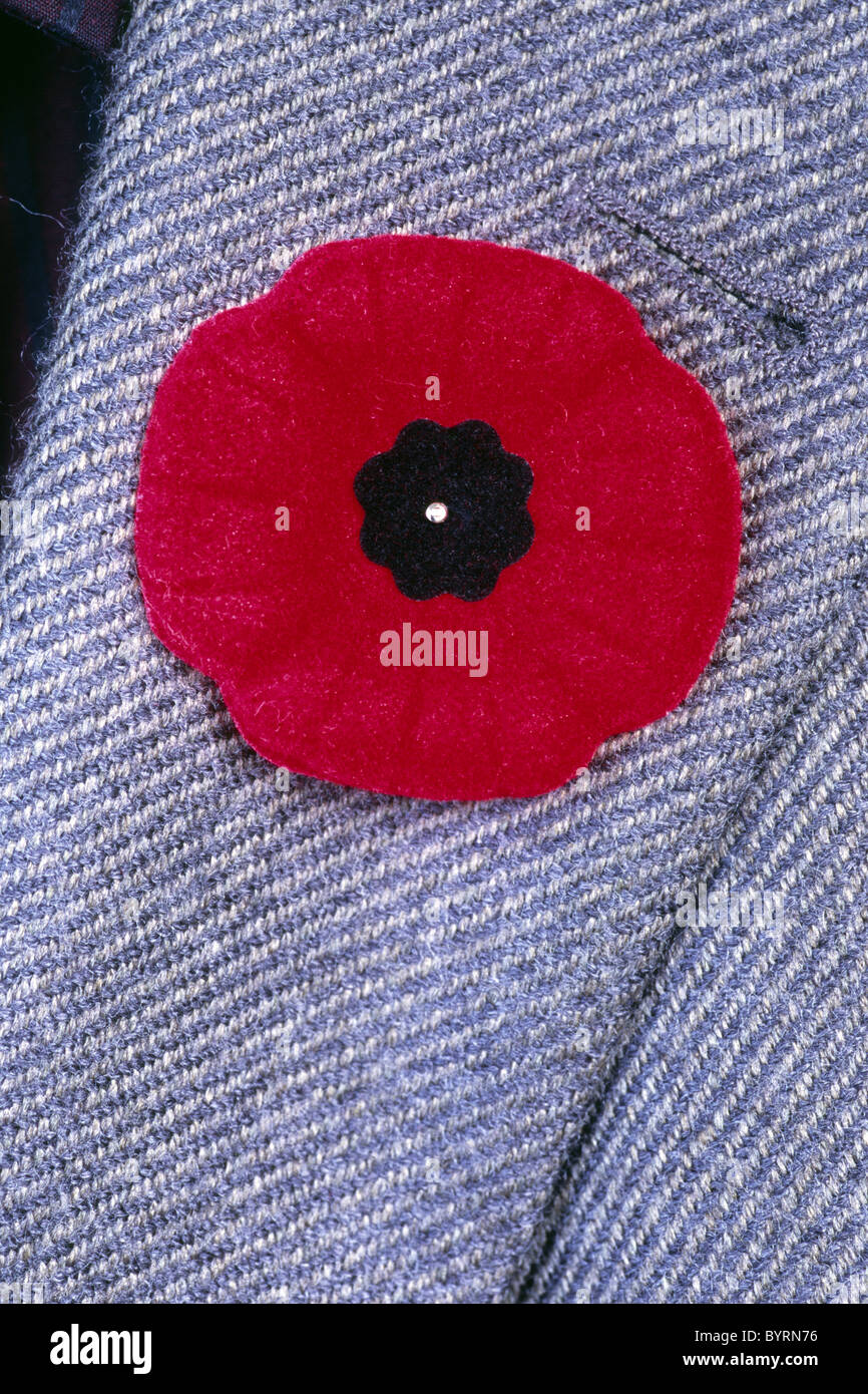 A Poppy emblem pinned on a lapel Stock Photo
