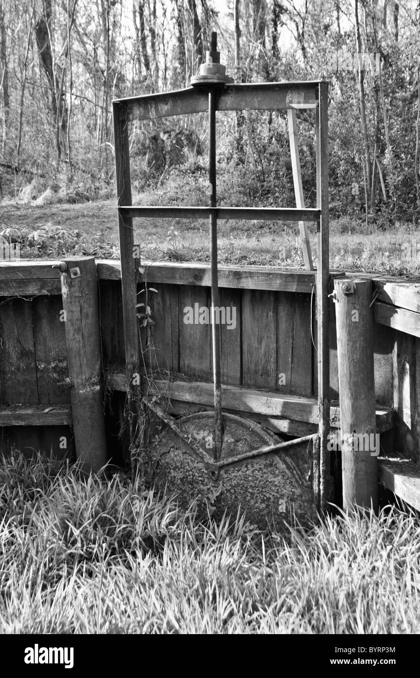 An old rustic irrigation control gate at Pettigrew State Park, North Carolina Stock Photo