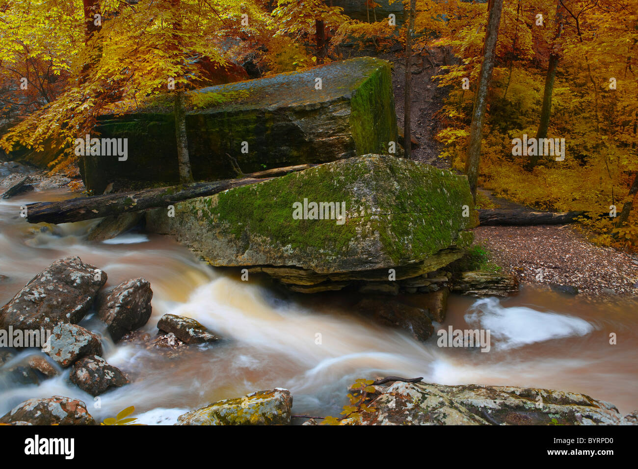 Fall colors at Eden Falls, Hidden Valley, Ozark Mountains of Arkansas – USA Stock Photo