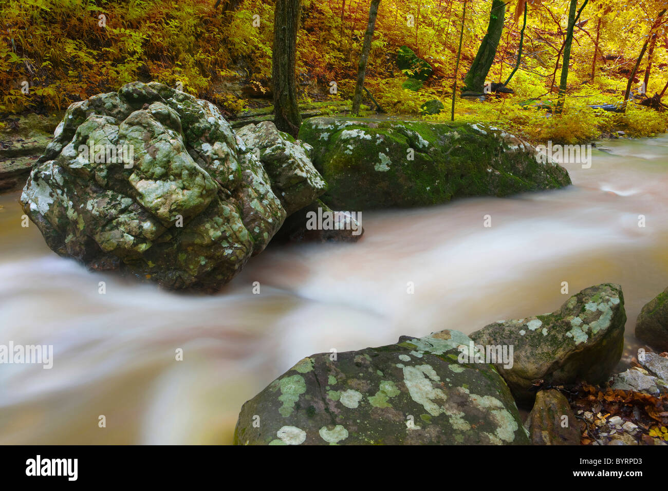 Fall colors at Eden Falls, Hidden Valley, Ozark Mountains of Arkansas – USA Stock Photo
