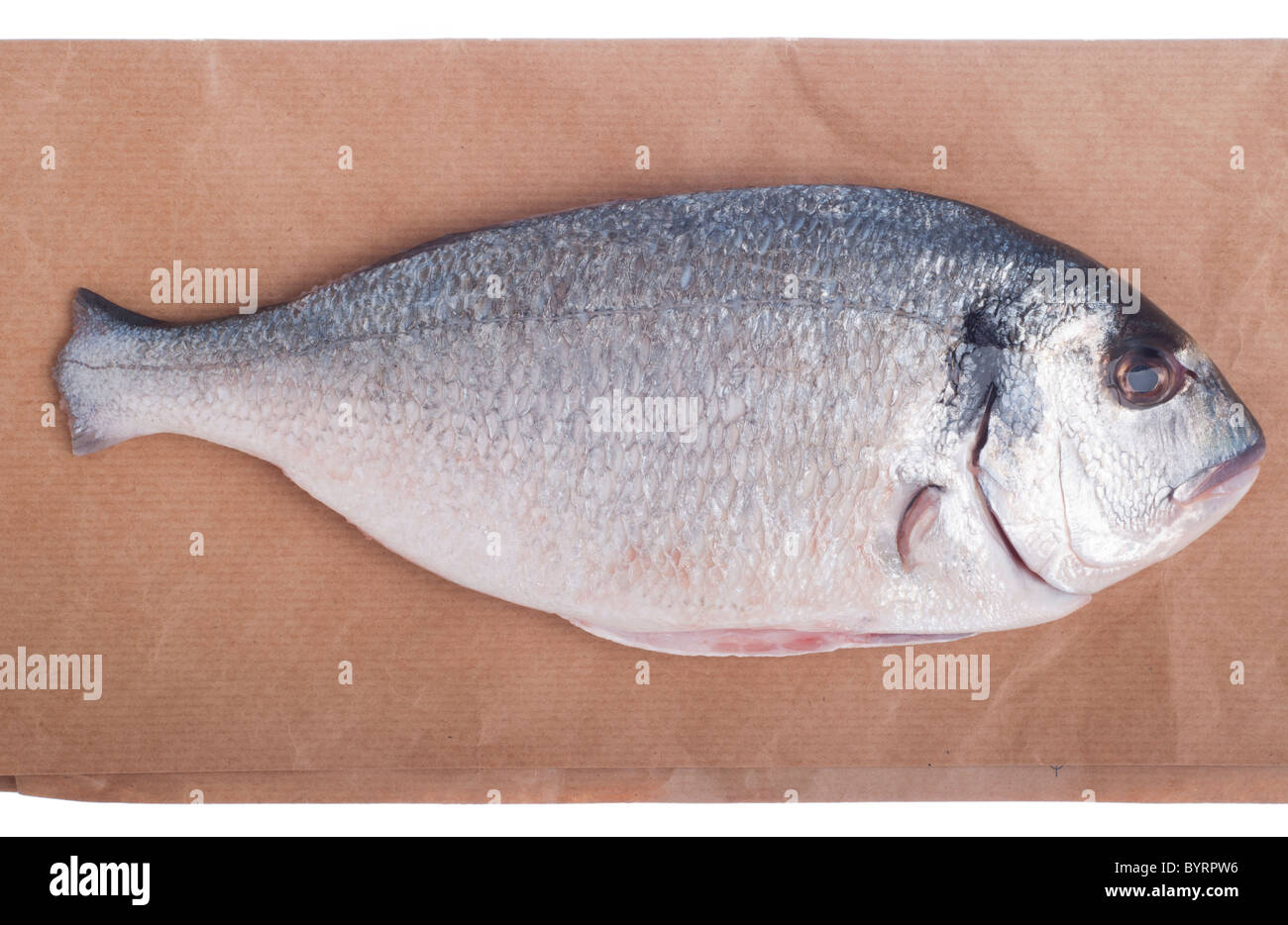 Dorado fish on cutting board.  Food Images ~ Creative Market