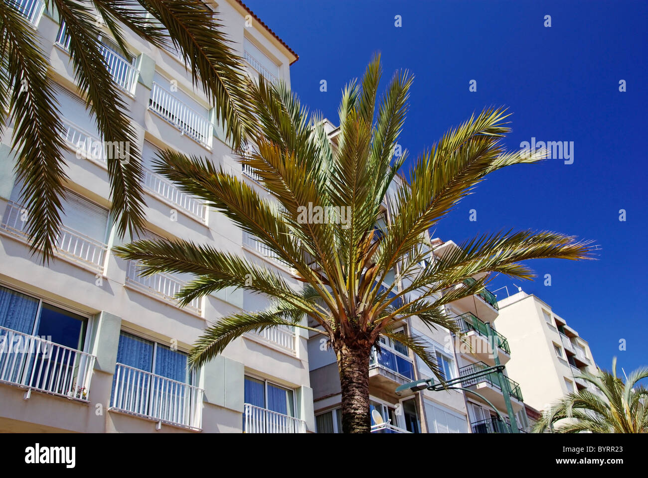 Green palms, hotels and luxury apartments in Lloret de Mar, Spain. Stock Photo