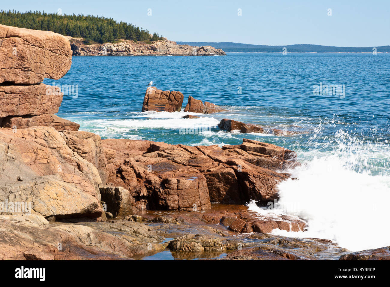 Rocky coastline at Thunder Hole in Acadia National Park near Bar Harbor, Maine Stock Photo