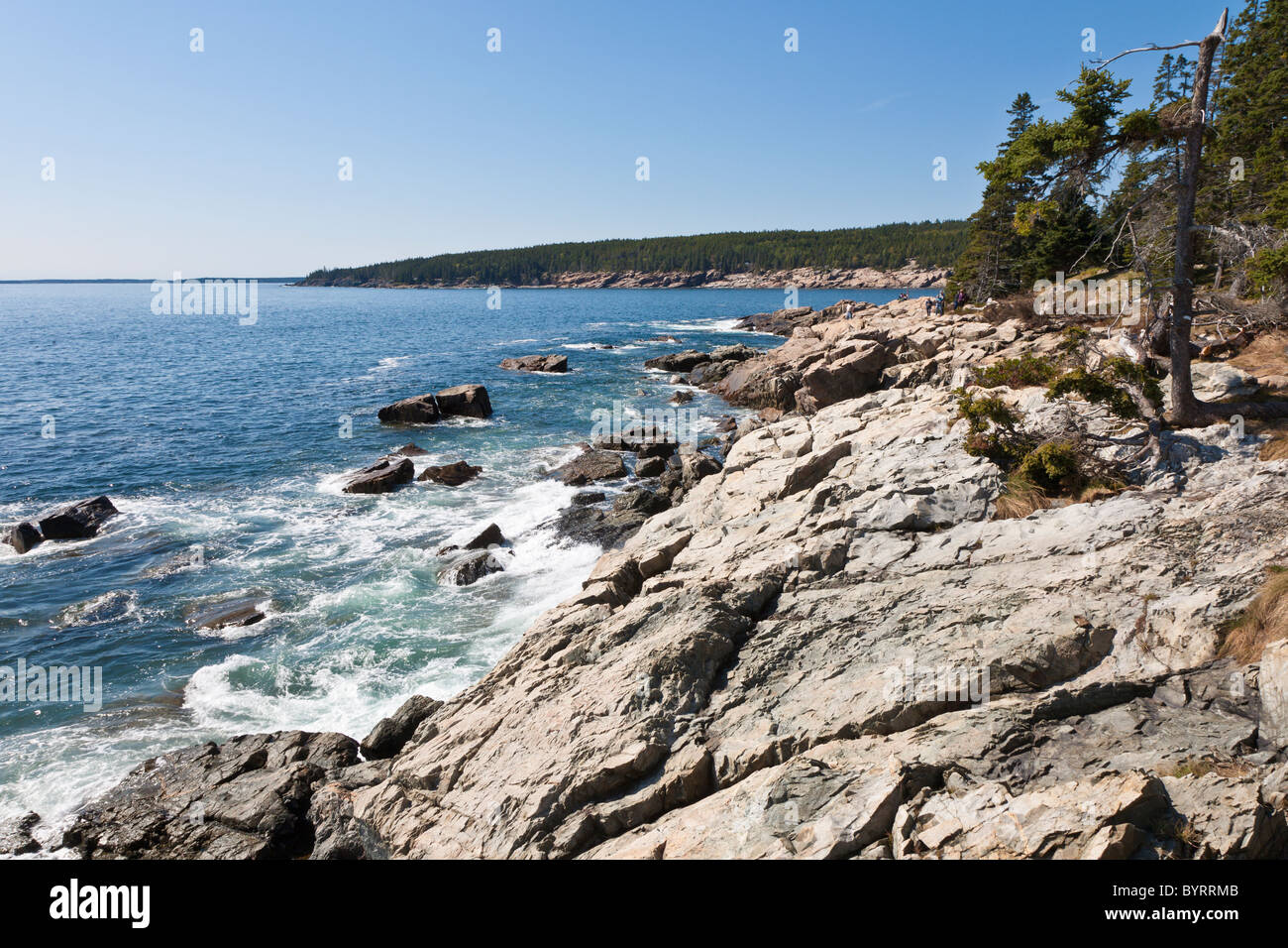 Rocky coastline in Acadia National Park near Bar Harbor, Maine Stock