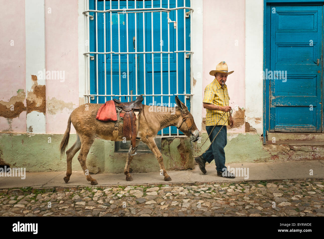Old man with straw hat walking with his donkey , Trinidad, Sancti Spiritus, Cuba, Caribbean. Stock Photo
