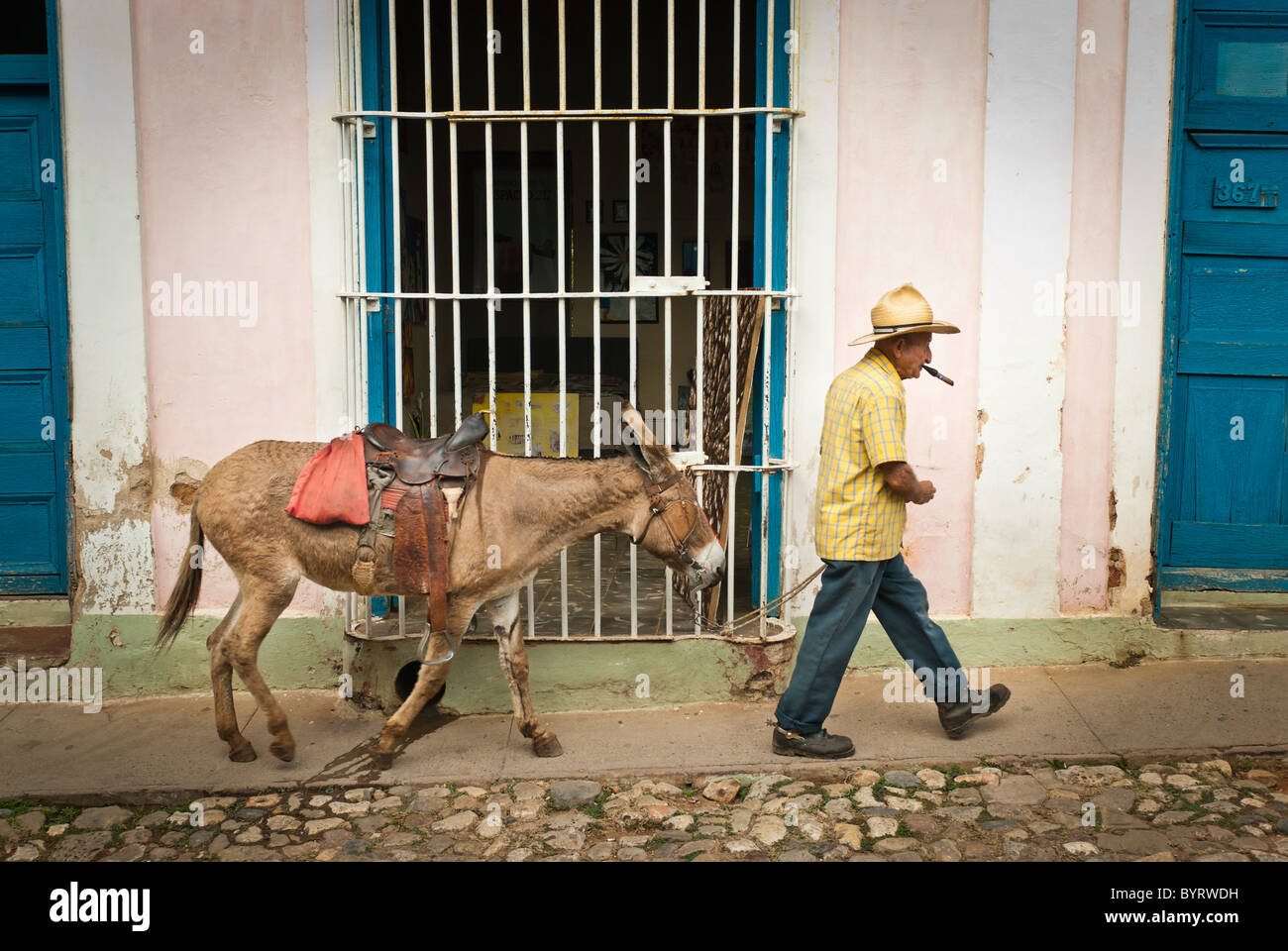 Old man with straw hat walking with his donkey , Trinidad, Sancti Spiritus, Cuba, Caribbean. Stock Photo