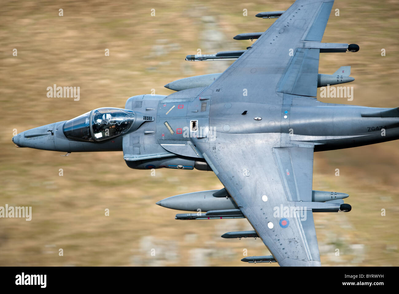 Harrier jump-jet Lowe flying in north wales the mach loop they go as low as 250ft Stock Photo