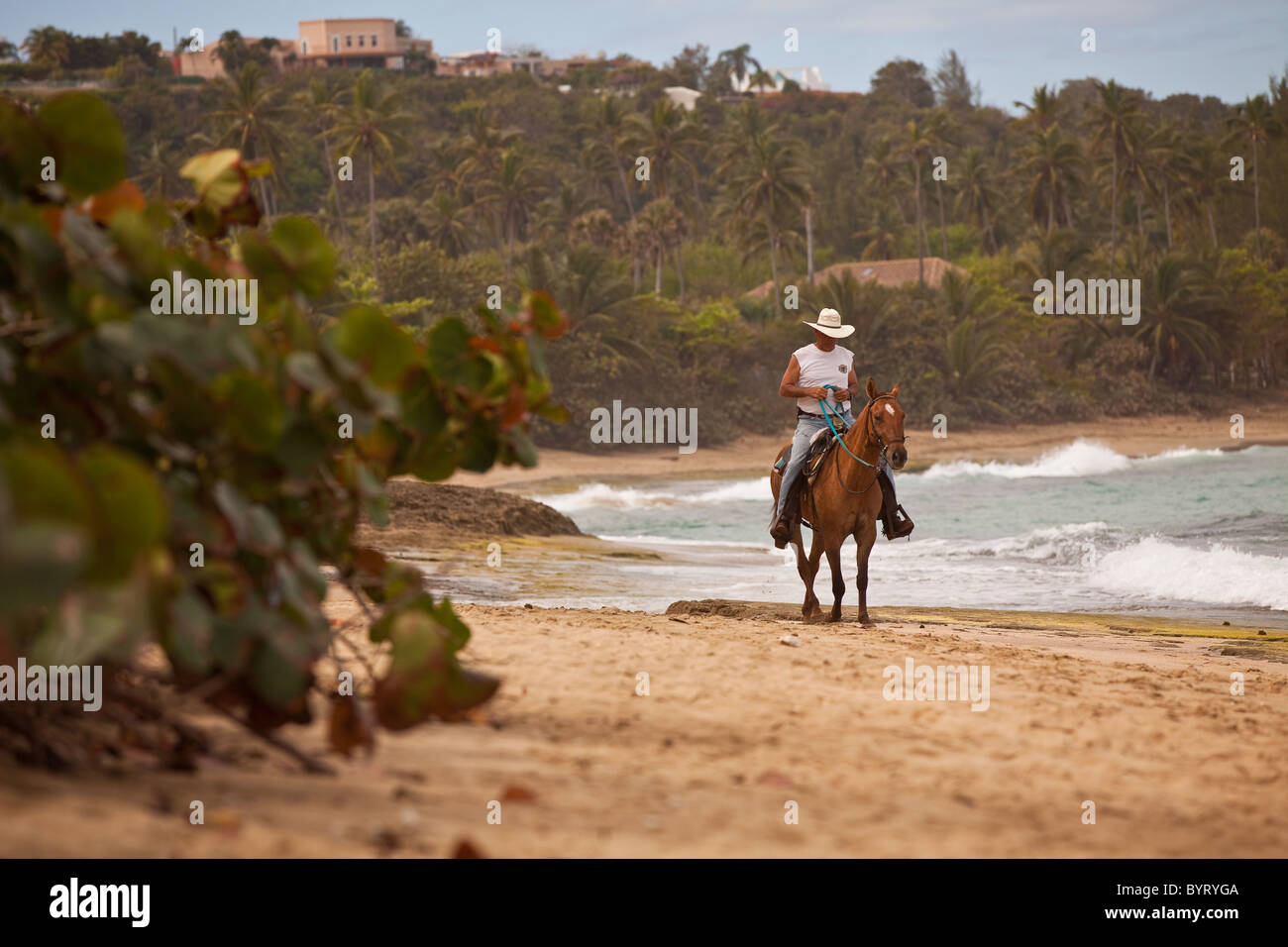 A horse rider on Playa Shacks beach in Isabela Puerto Rico Stock Photo
