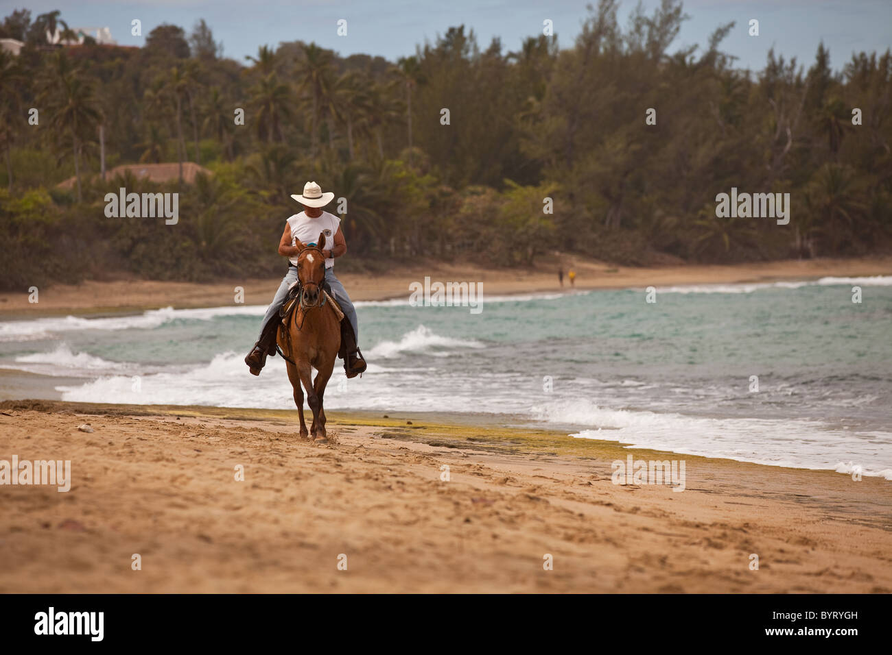 A horse rider on Playa Shacks beach in Isabela Puerto Rico Stock Photo
