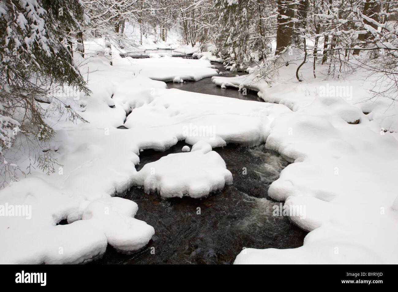 Winterly creek Kalte Bode Harz National park Stock Photo