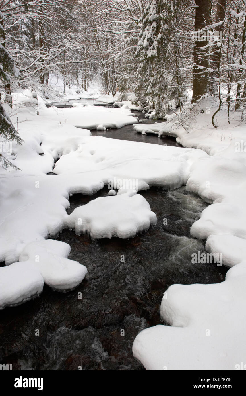 Winterly creek Kalte Bode Harz National park Stock Photo