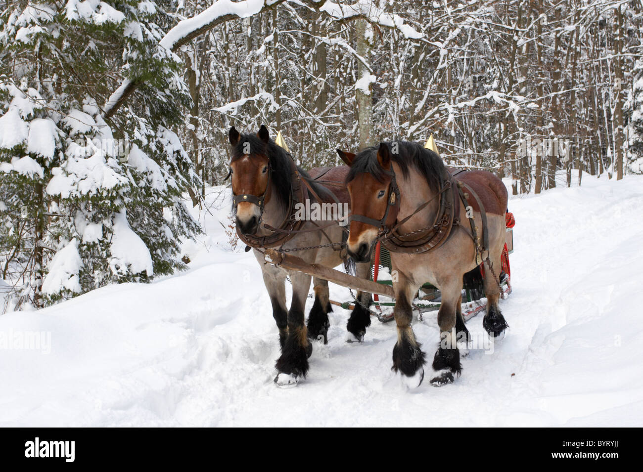 Sledge carriage hi-res stock photography and images - Alamy