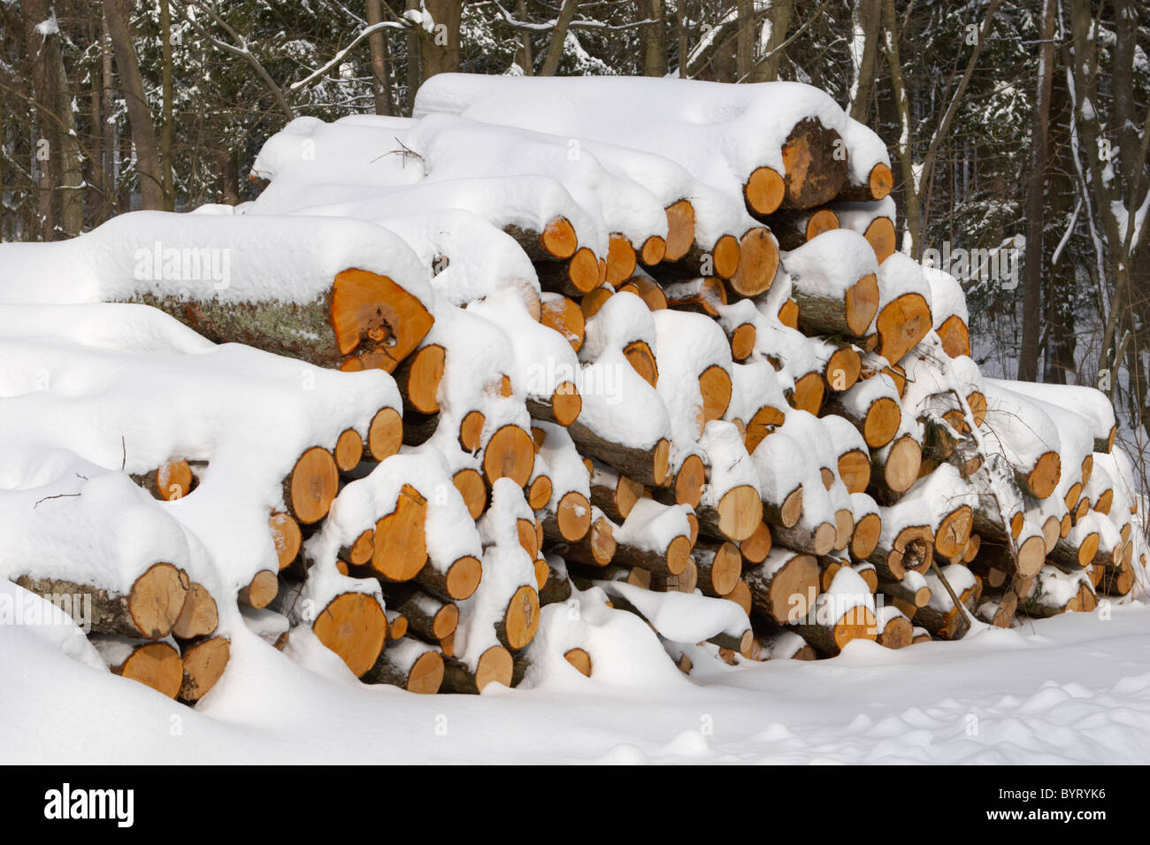 Snow covered stack of wood Stock Photo