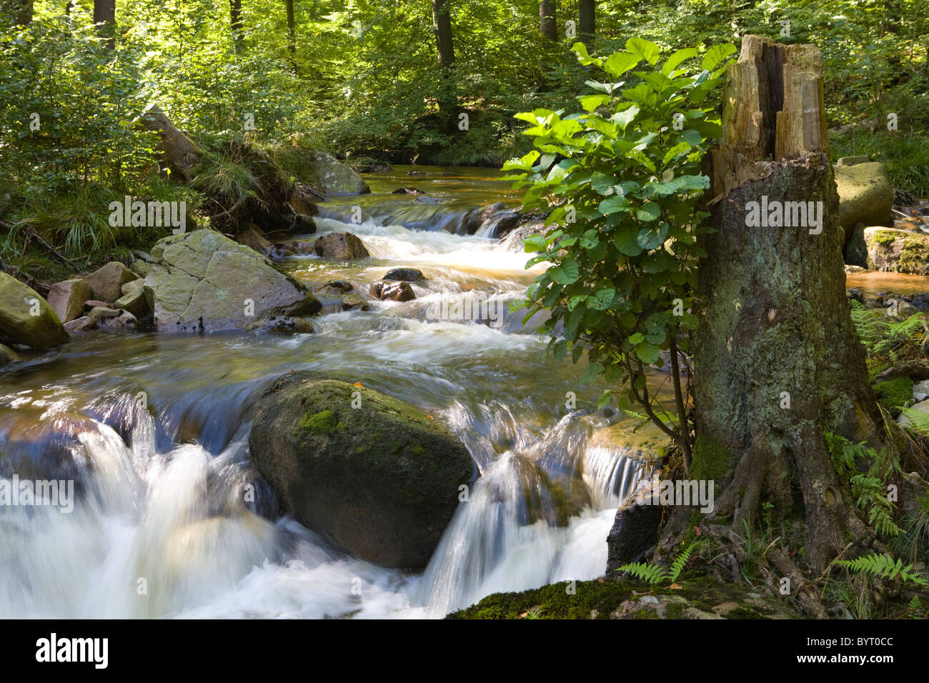 River Ilse, National Park Harz, Germany Stock Photo