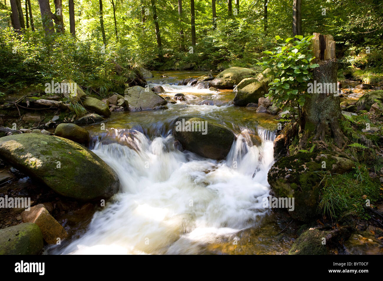River Ilse, National Park Harz, Germany Stock Photo