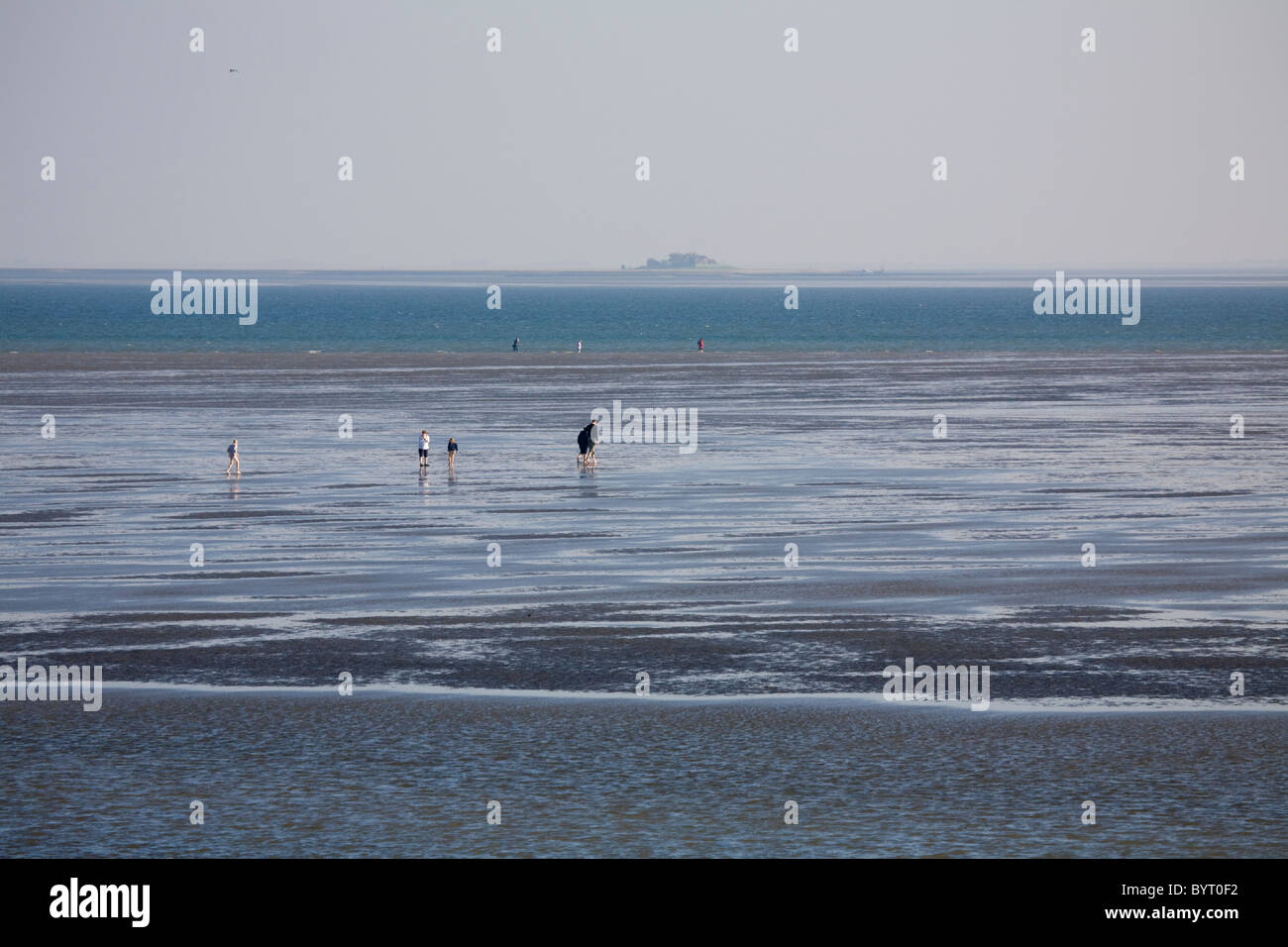 Mudflat hiking Stock Photo