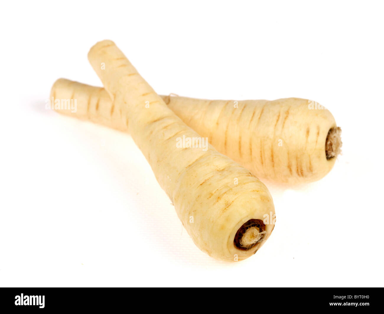 Fresh Ripe Cleaned Parsnips Ready For Cooking Against A White Background With No People A Clipping Path and Copy Space Stock Photo