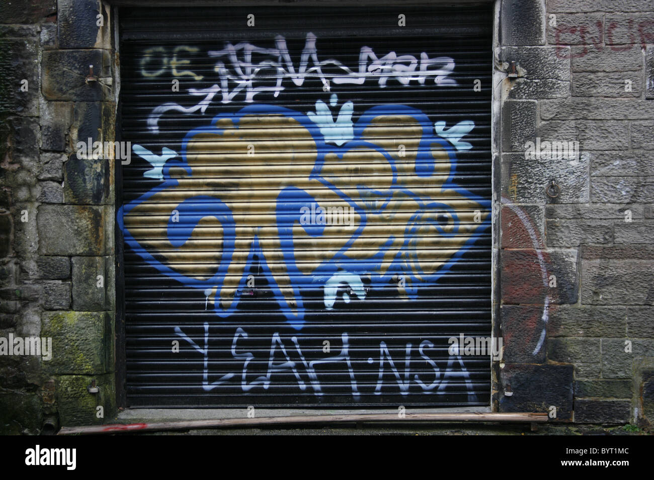 Garage door in Edinburgh covered in graffiti Stock Photo Alamy