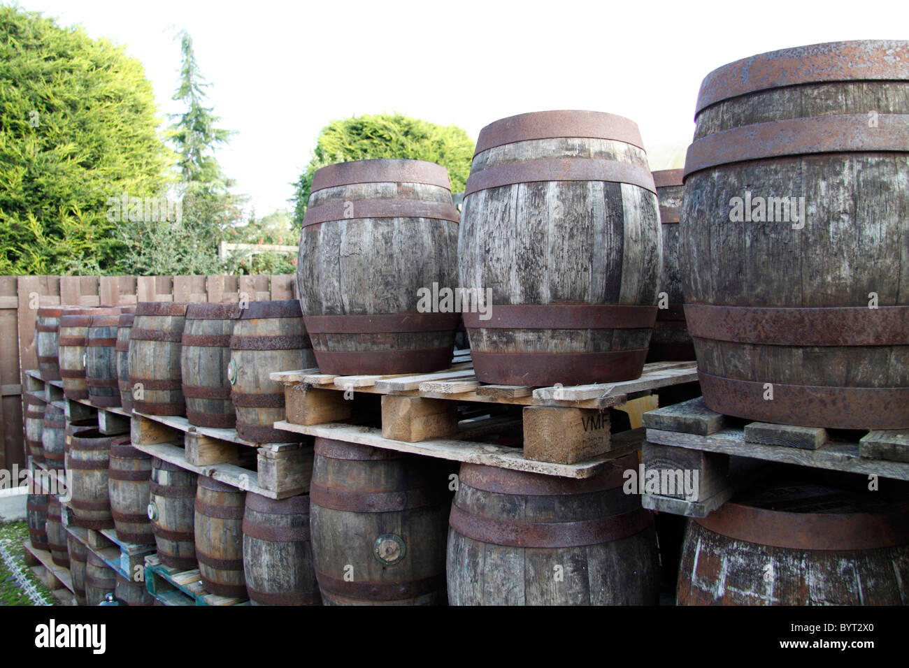Beer Kegs at Masham Brewery Yorkshire England uk Stock Photo Alamy