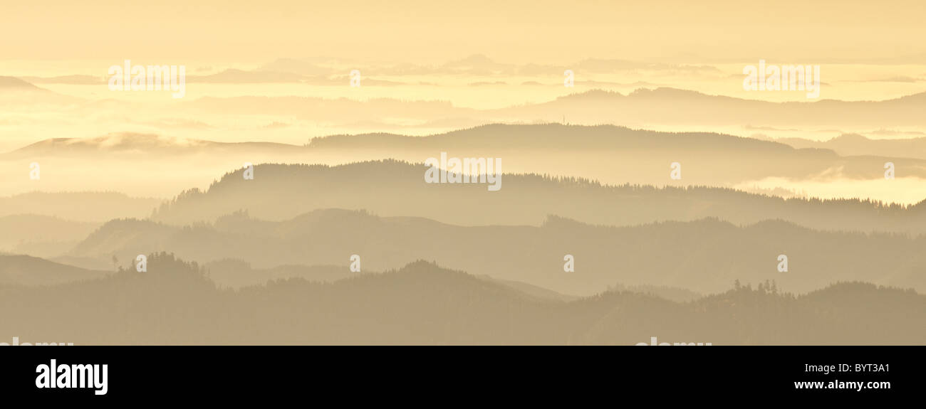 View from summit of Prairie Mountain, Coast Range Mountains, Lane County, Oregon. Stock Photo