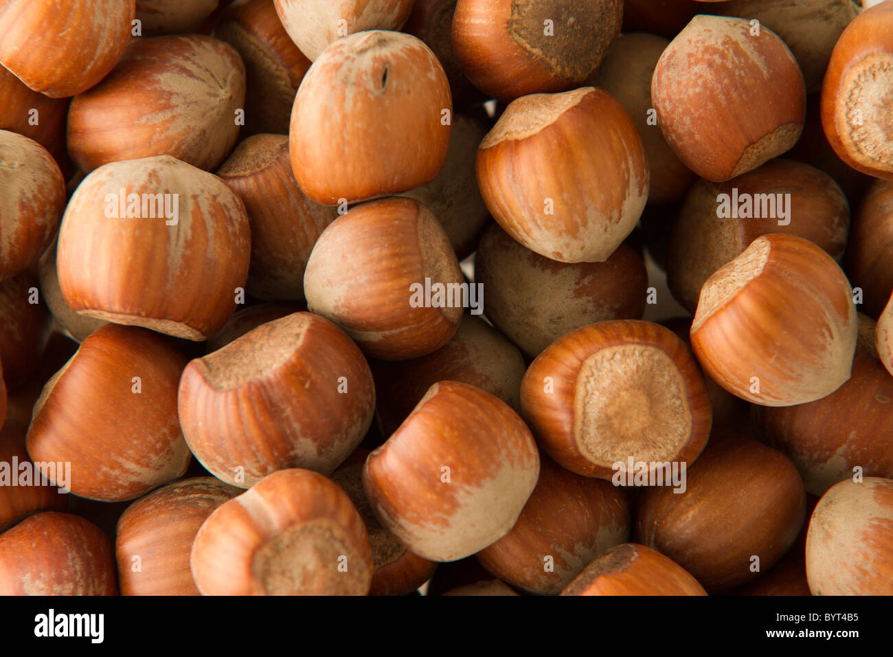 Close-up of hazelnuts in a bowl Stock Photo