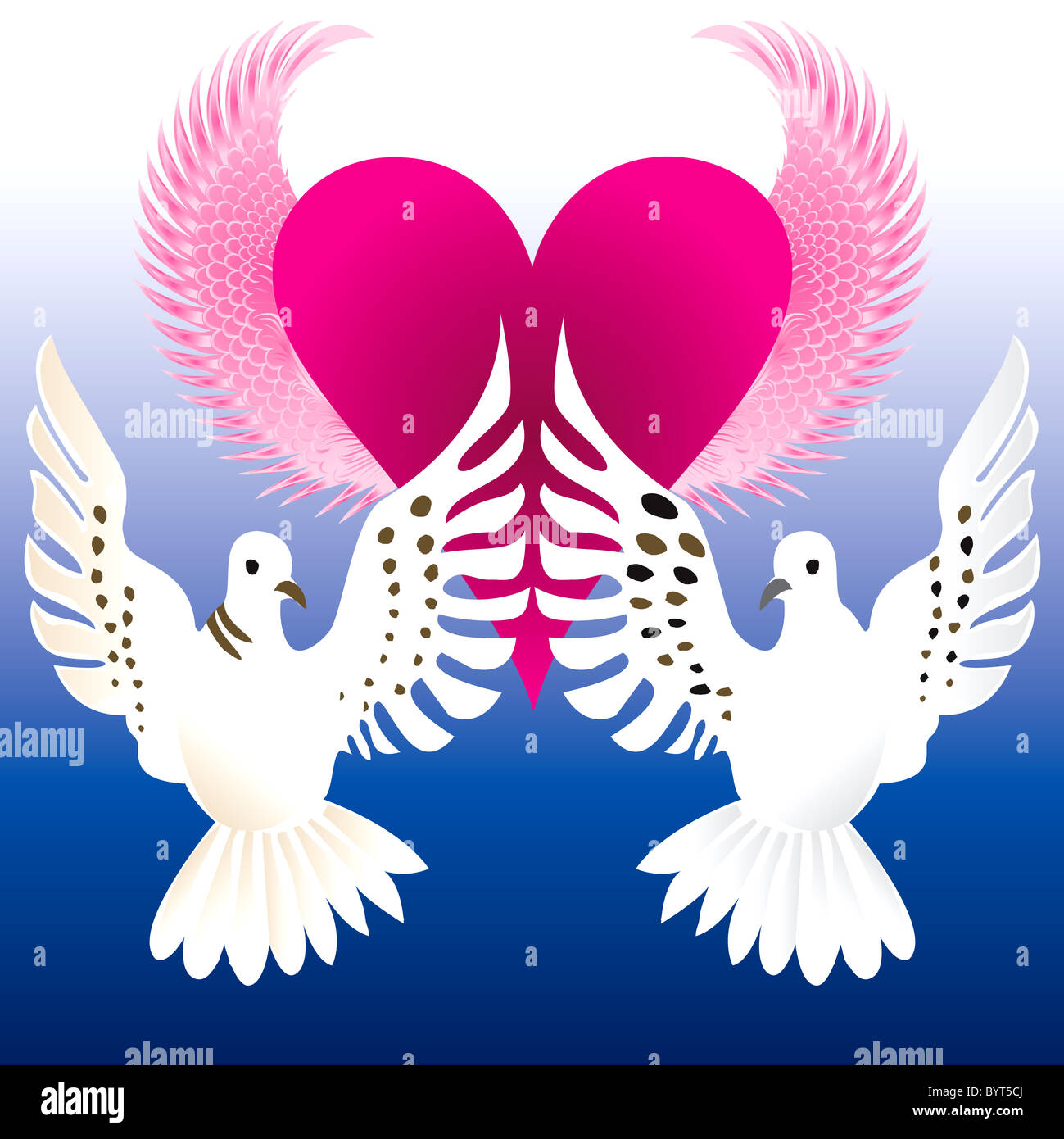 love dove vector