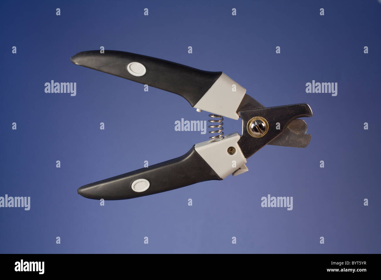 A dog nail clipper with built in guide Stock Photo Alamy