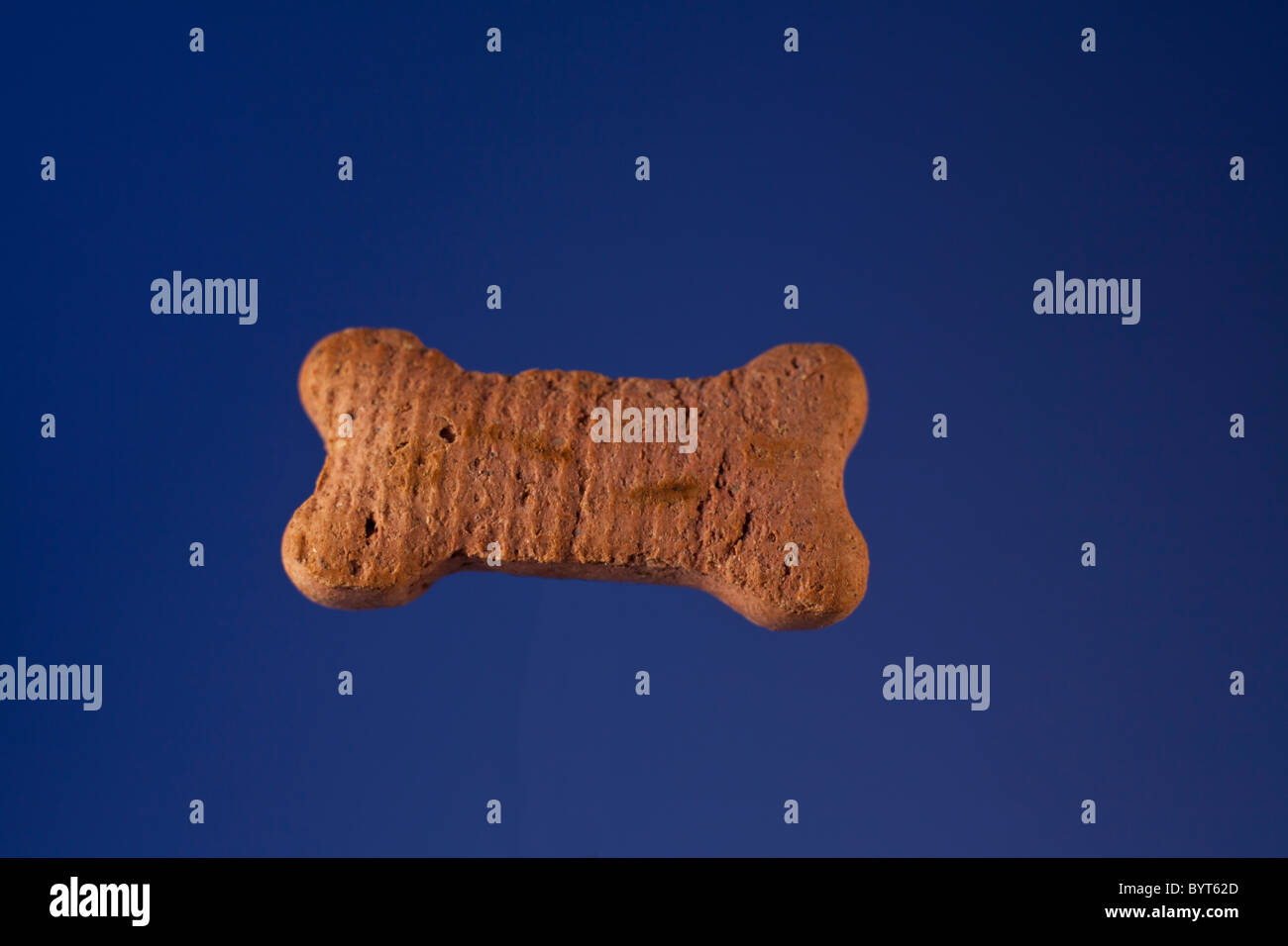 A dog biscuit Stock Photo - Alamy