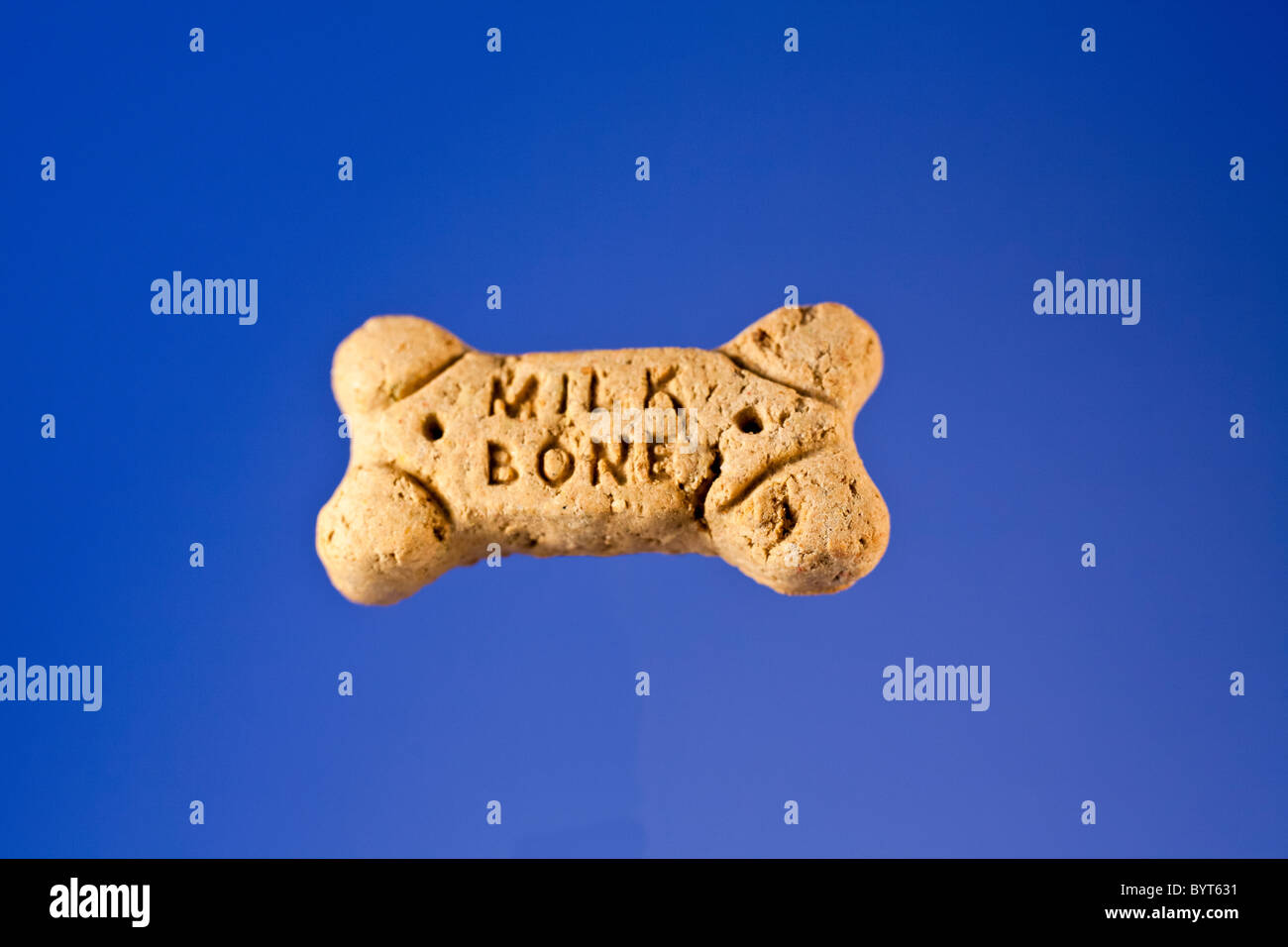 A Milk bone dog biscuit Stock Photo Alamy