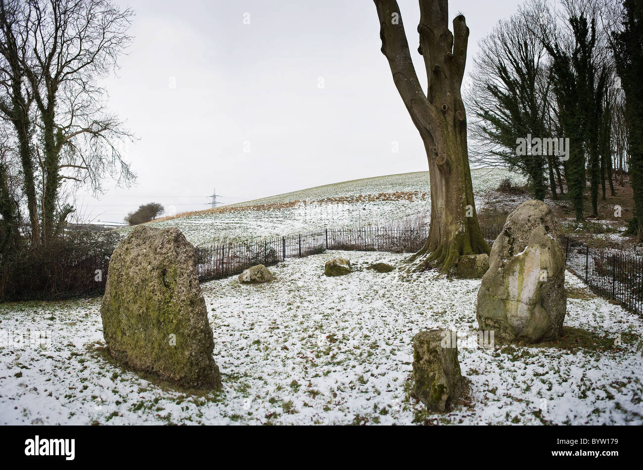 The Nine Stones of Winterbourne Abbas, Stone Circle, Dorset, UK Stock Photo