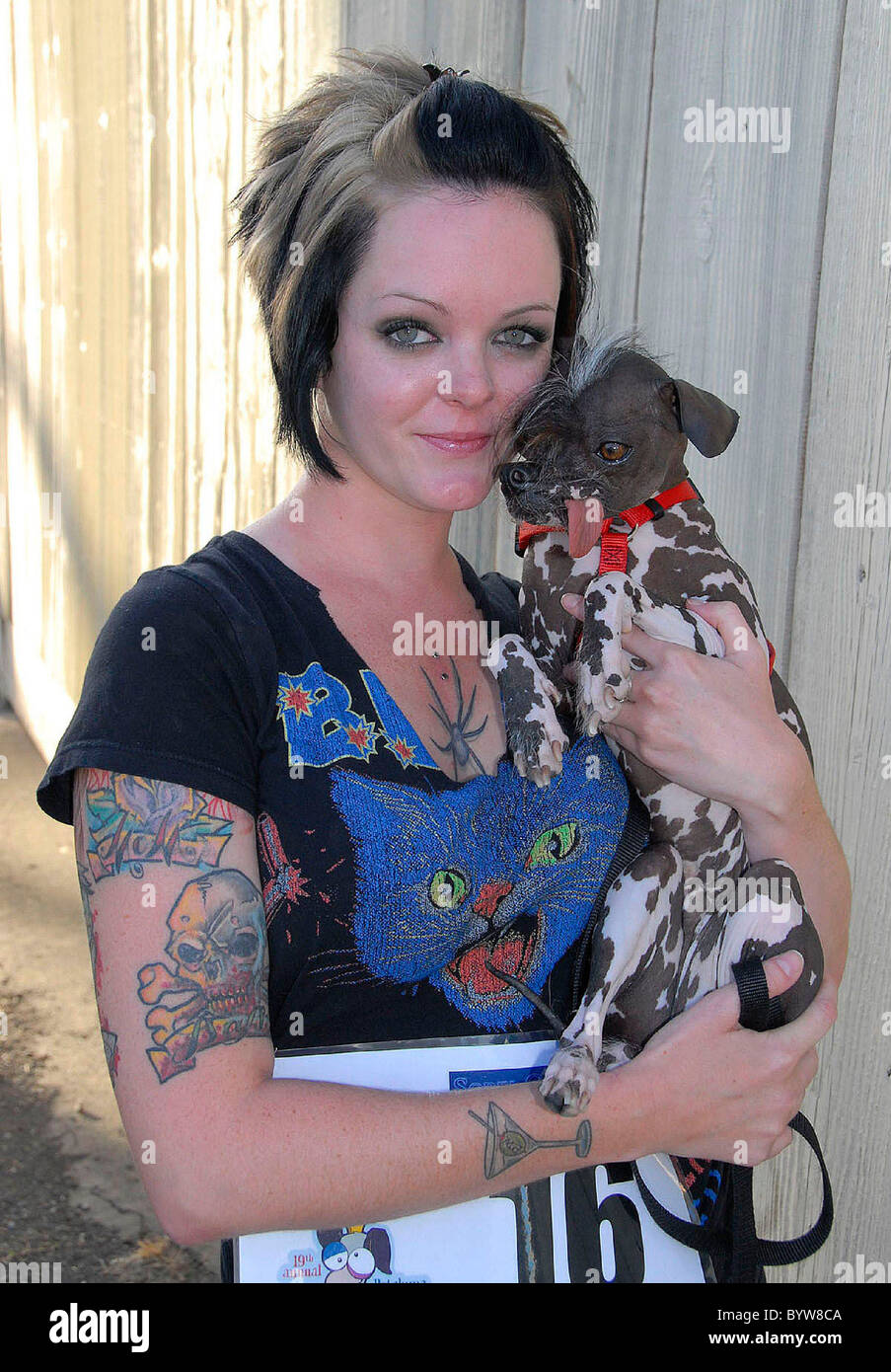 WORLD'S UGLIEST DOG IS CROWNED It's that time of year again - where ugly dogs of the world get together to decide who is indeed Stock Photo