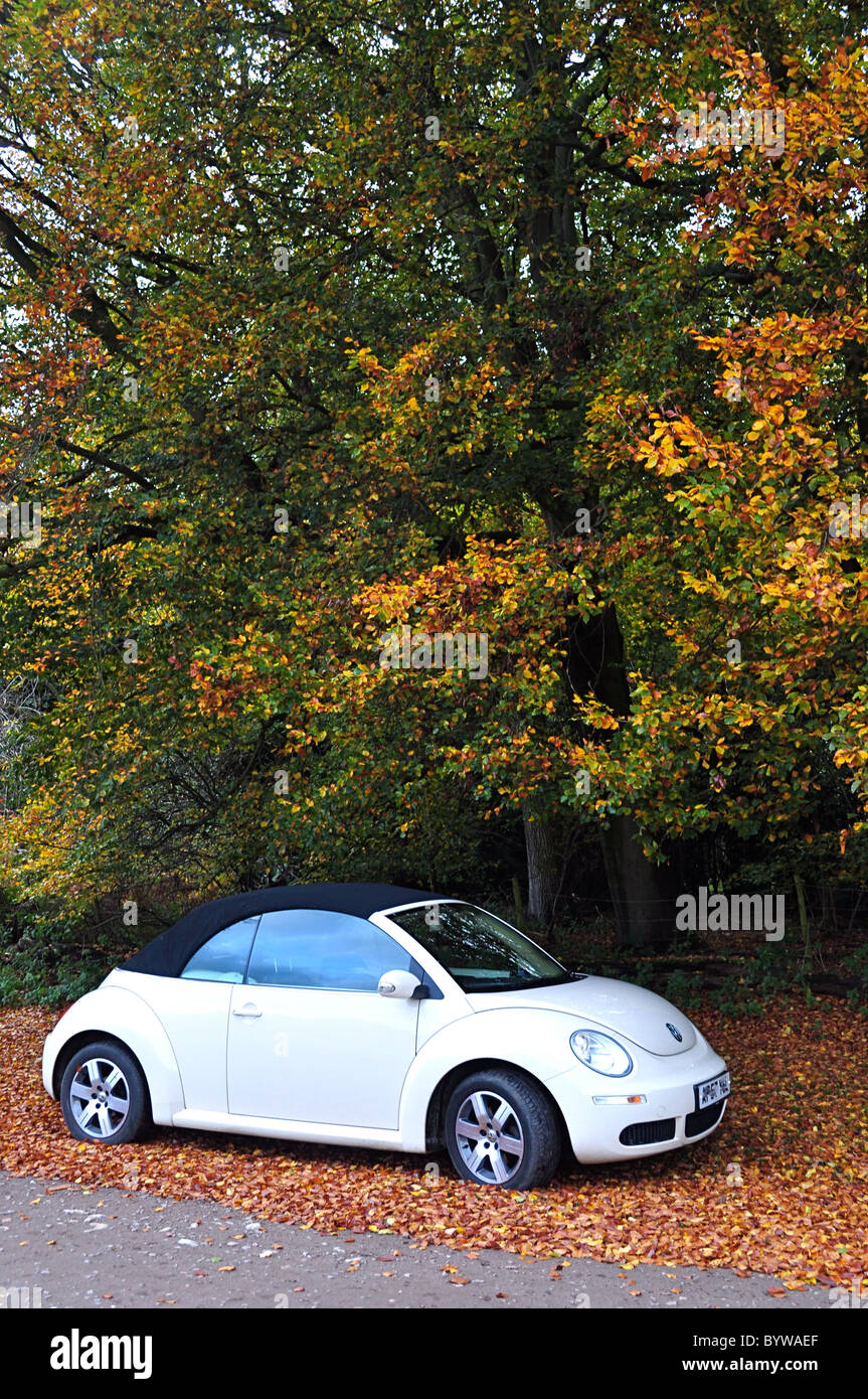 Volkswagen New Beetle, end of 2007-2008 model Cabriolet soft top in autumn colours. Harvest Moon colour of the year, New Beetle. Stock Photo