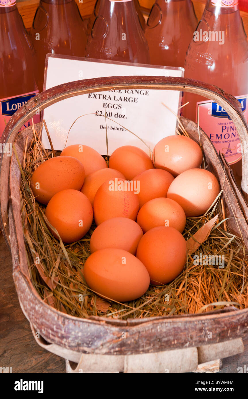 Chickens baskets hires stock photography and images Alamy