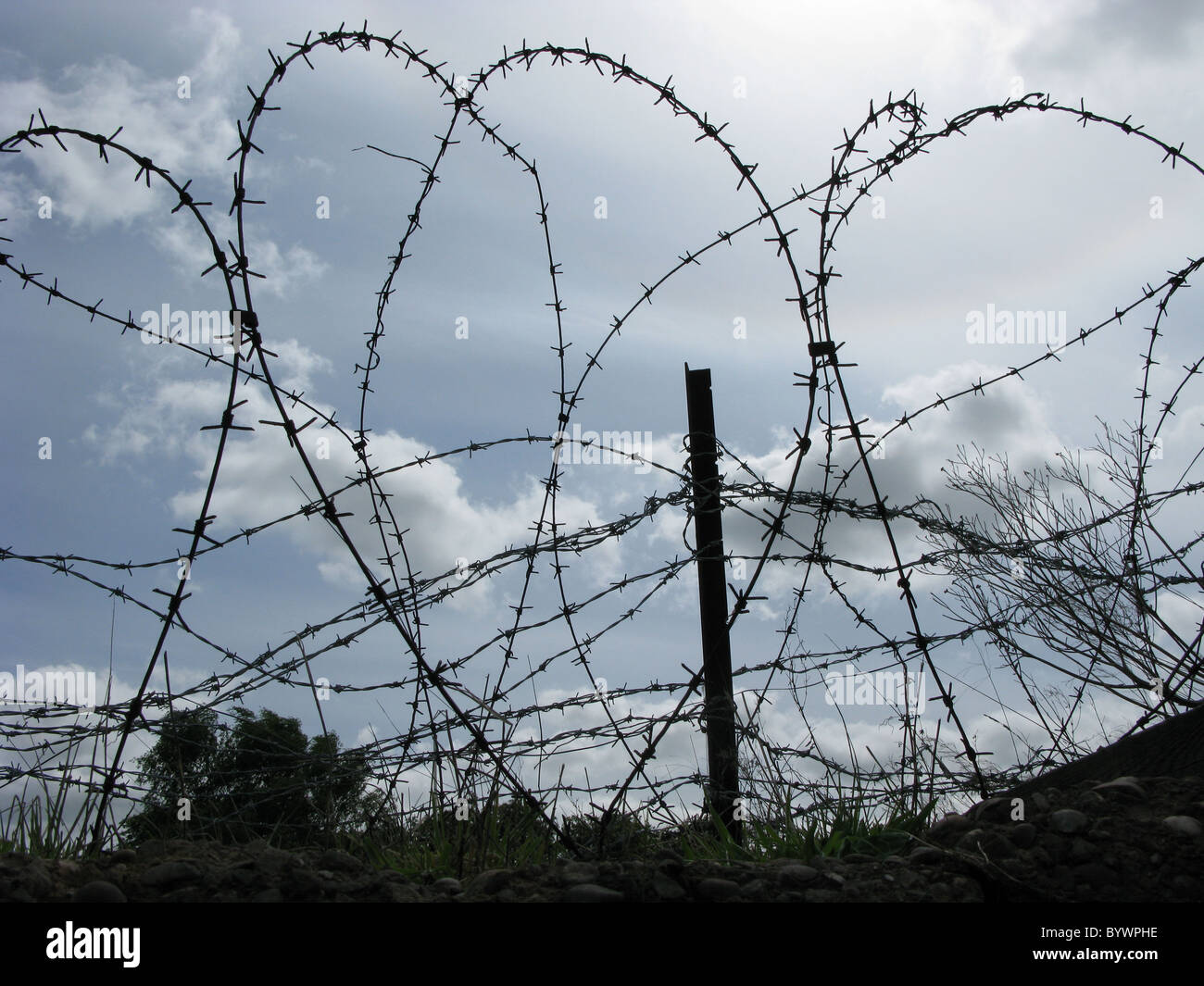 Barbed wire in wartime trench Stock Photo
