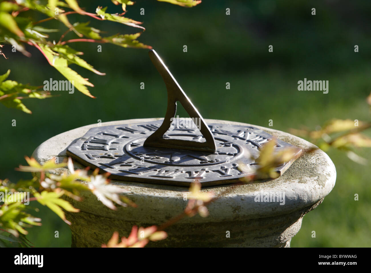Garden sundial Stock Photo