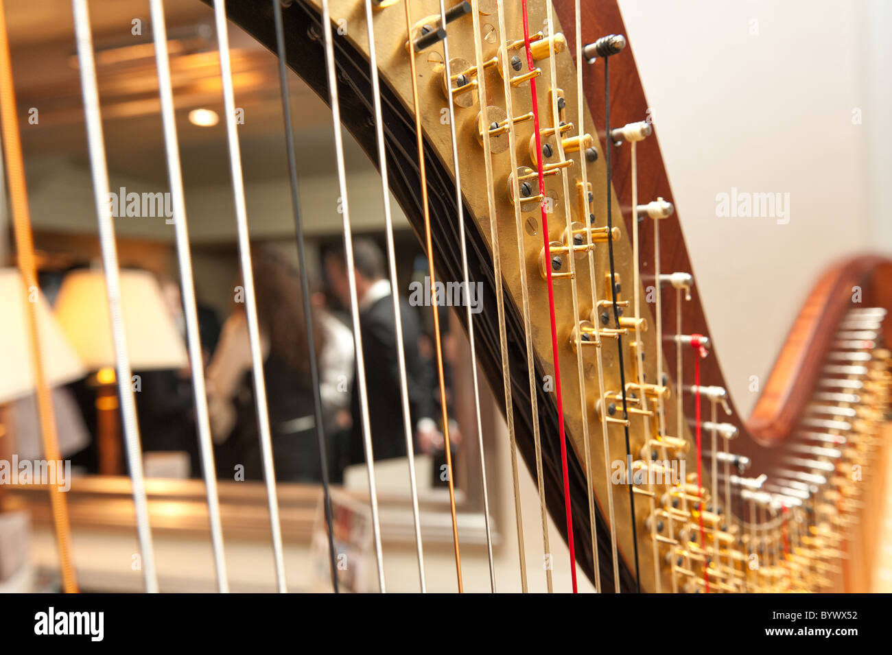 Orchestral harp fine detail of strings keys well maintained party