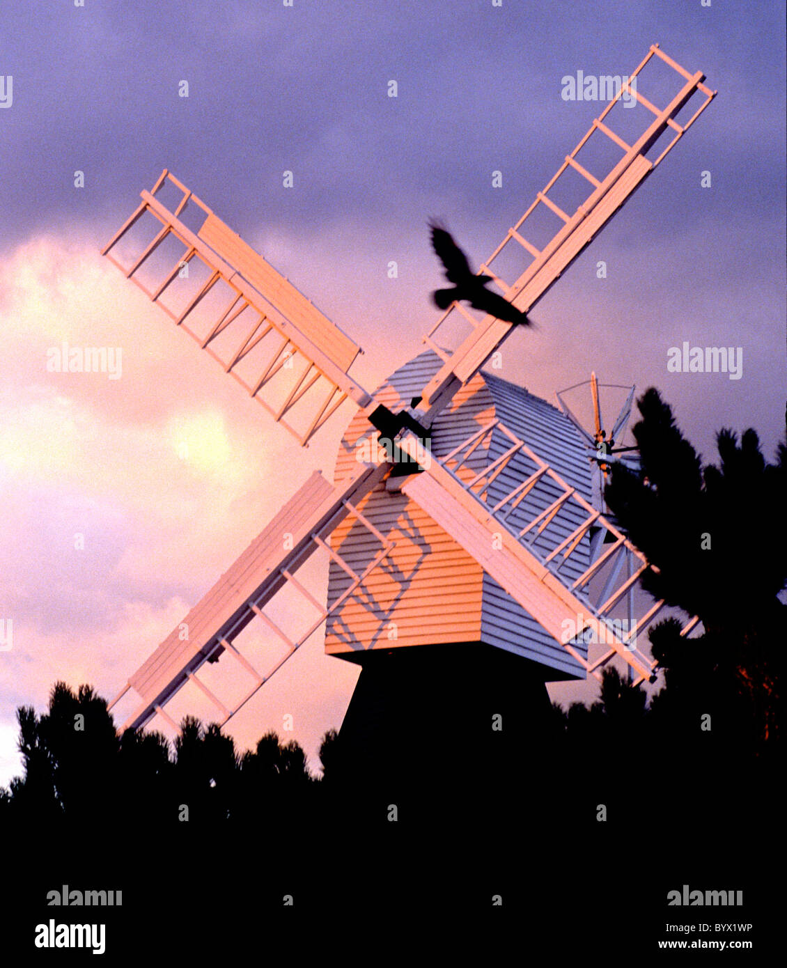 The windmill on Wimbledon Common at sunset Stock Photo