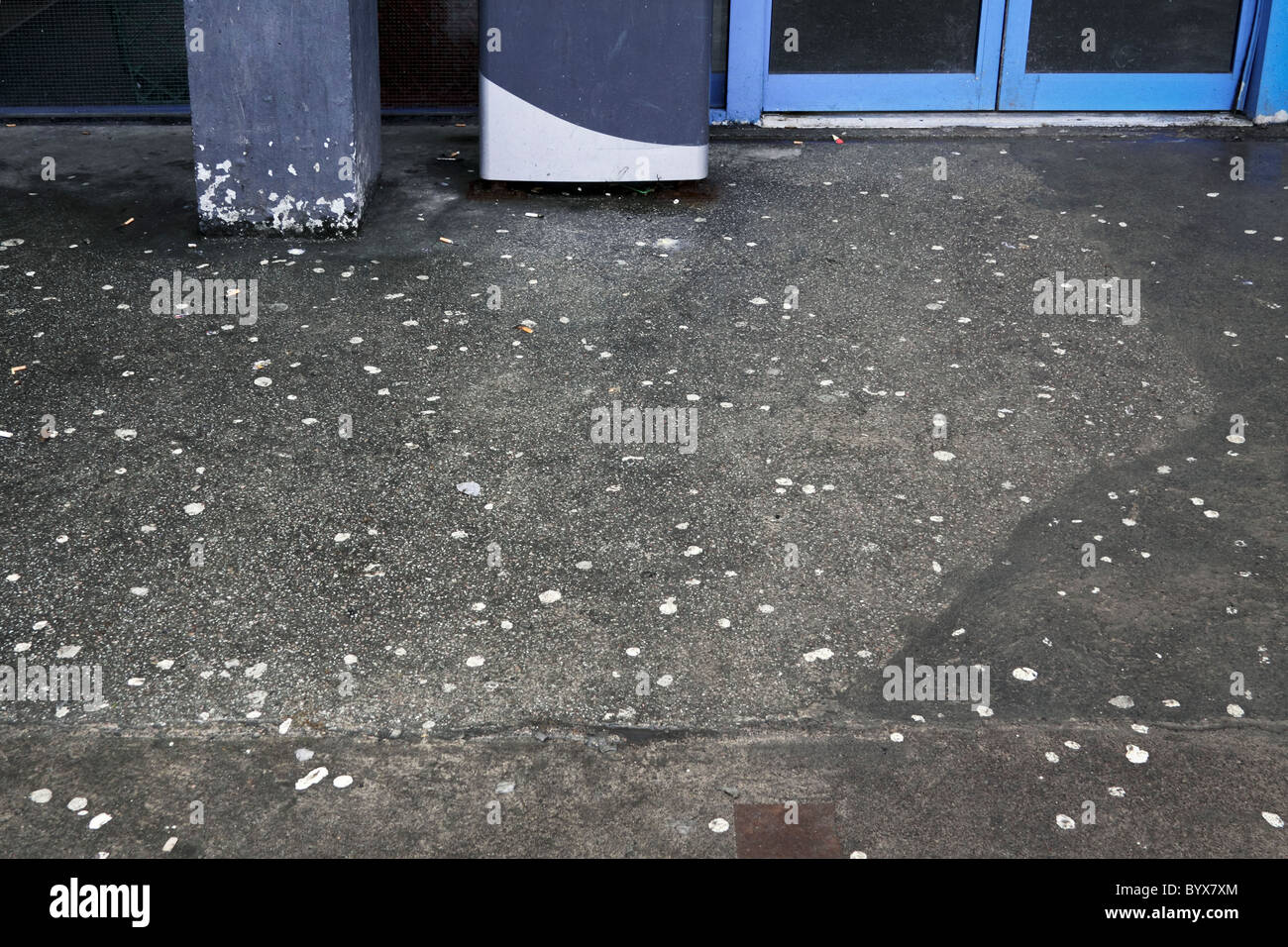 Discarded chewing gum and gigatettes on the ground outside the entrance to a public building. Stock Photo