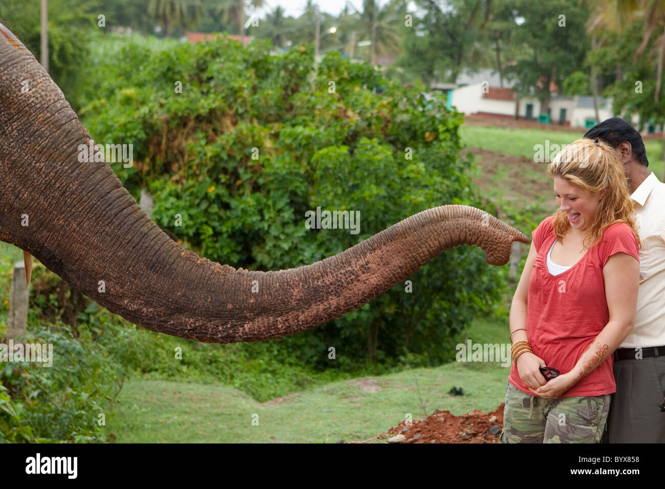 a look of surprise on a woman's face as a traditional holy elephant's trunk comes towards her in blessing; tamil nadu, india Stock Photo