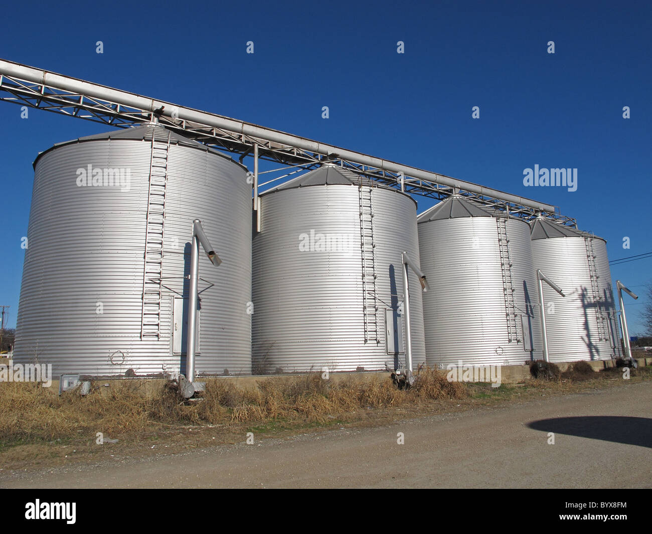 Four silver grain silos in the country Stock Photo