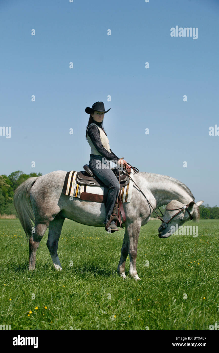 Rider Pro Western Reitgurt Aus Neopren – Extra Weich Gepolstert Für Maximalen Pferdekomfort, 66 Cm, Schwarz