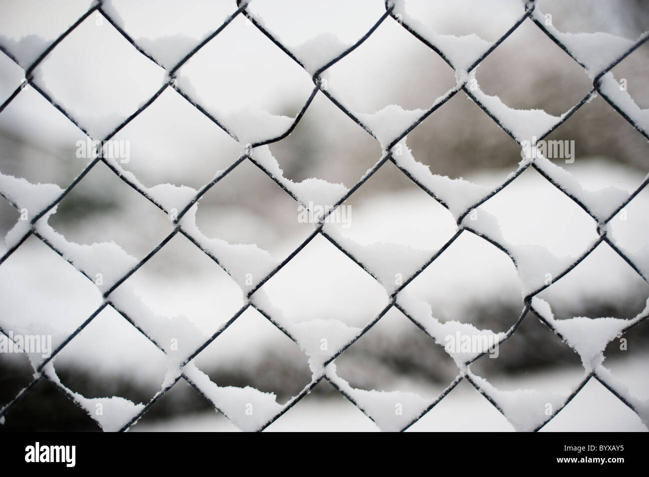 chain link fence in the snow with snow settling on the thin wires of the fence Stock Photo