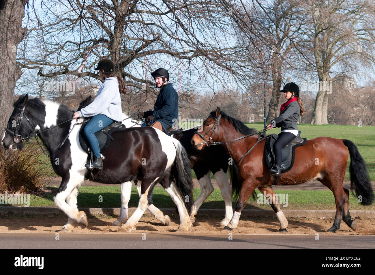 Horse riding in Hyde Park,London Stock Photo Alamy